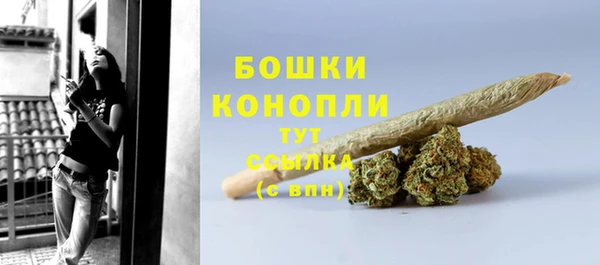 ALPHA PVP Осинники
