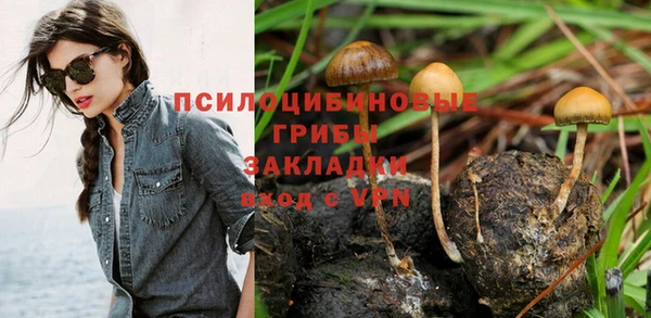 стафф Остров