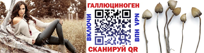 гидра ссылки  где купить наркоту  Торжок  Псилоцибиновые грибы MAGIC MUSHROOMS 