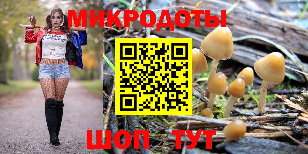 Галлюциногенные грибы ЛСД Торжок