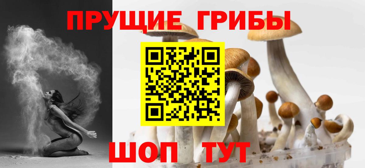 Псилоцибиновые грибы Cubensis  сколько стоит  Торжок  Галлюциногенные грибы Psilocybine cubensis  Вход с VPN 